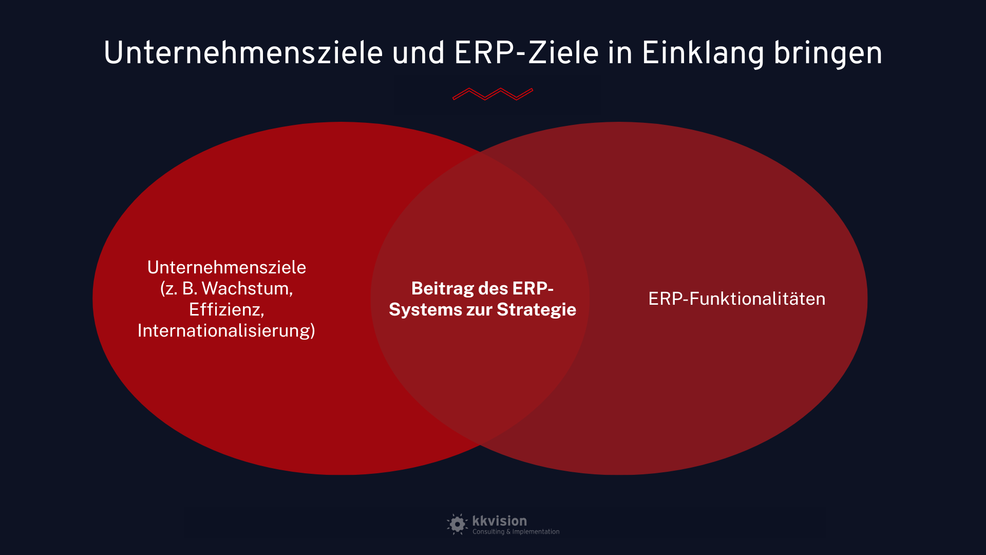 ERP Einführung Ziele