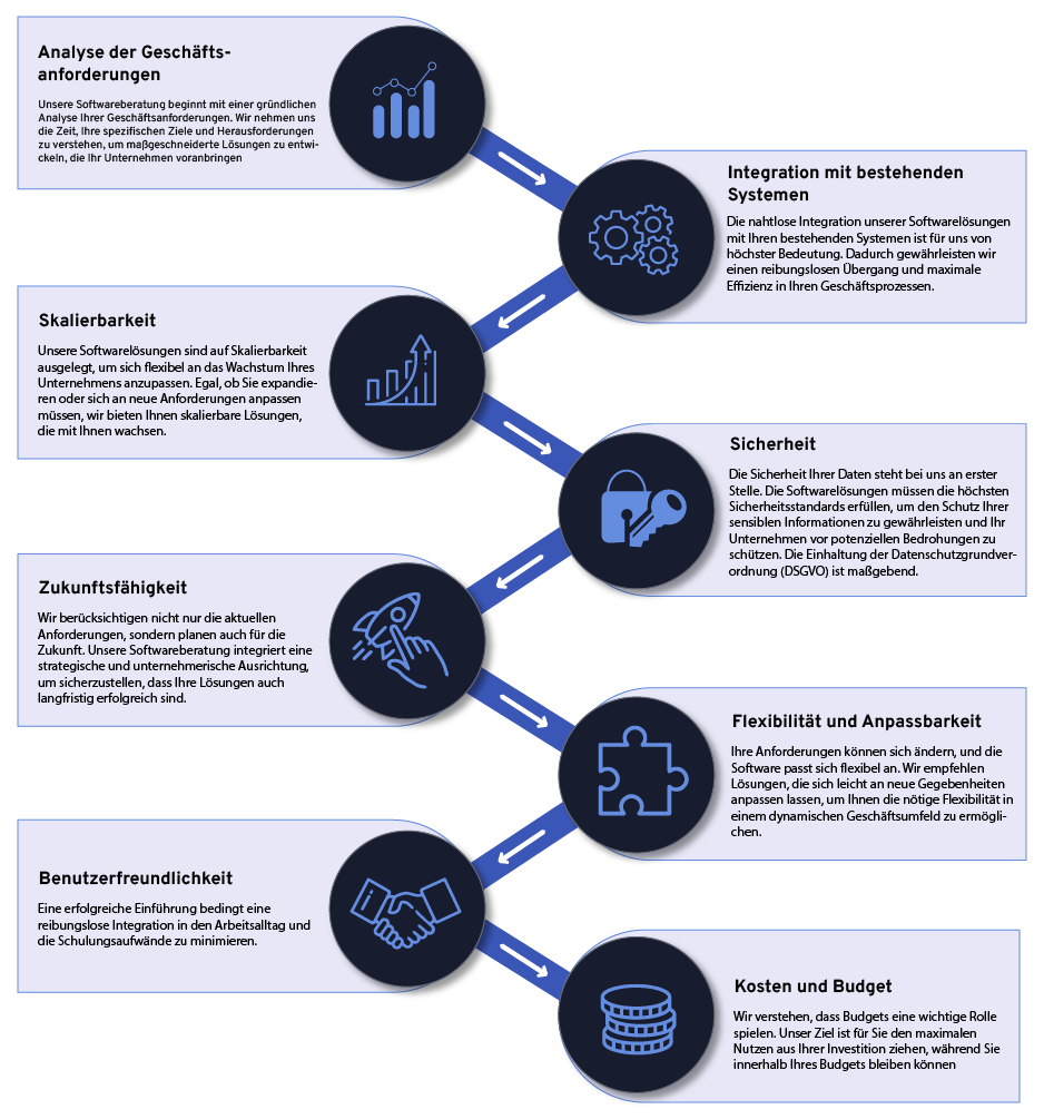 software beratung prozess infografik